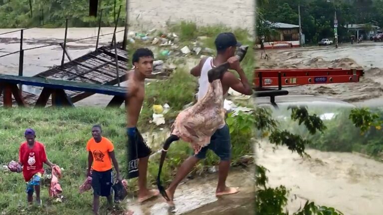 Desbordamientos, inundaciones y animales ahogados, producto de vaguada en el país