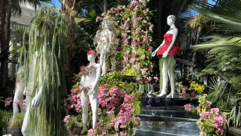 show de Orquídeas en el Jardín Botánico