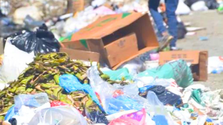 Algo ‘jiede’ en Santo Domingo – Remolacha   #FVDigital