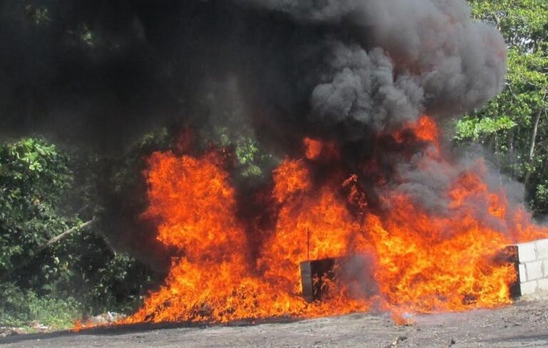 Autoridades incineraron cerca de 600 kilos de diferentes drogas