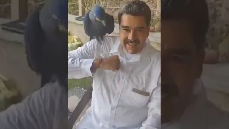 “Ay, me está mordiendo”: Maduro se exhibe con cotorra azul en extinción