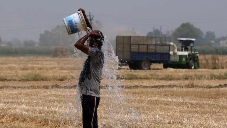 Reportan al menos 3 muertes por ola de calor en India – noticias telemicro