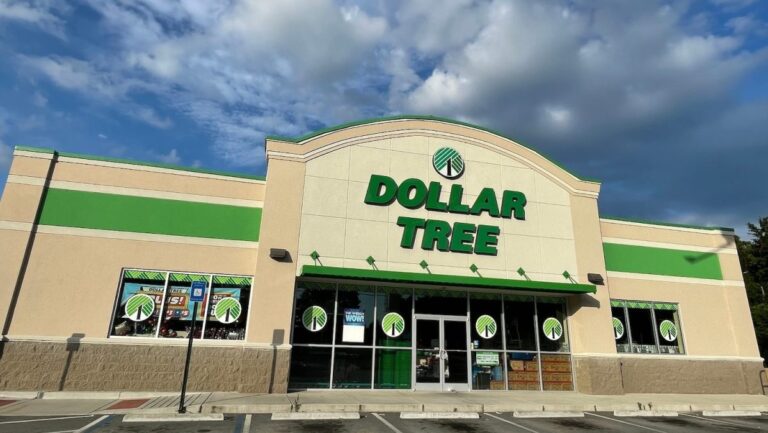 17 artículos de Dollar Tree a $1.25 que son ideales para el verano #FVDigital