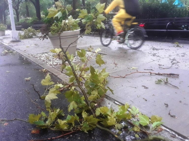 Alerta por tormenta en Nueva York: lluvia y vientos fuertes al comienzo del feriado Memorial Day