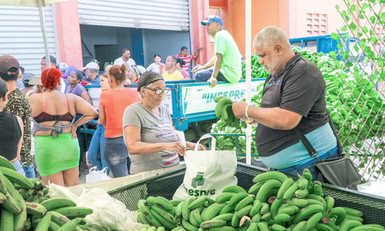 14 millones de plátanos compra el Inespre, vende a RD$5 la unidad