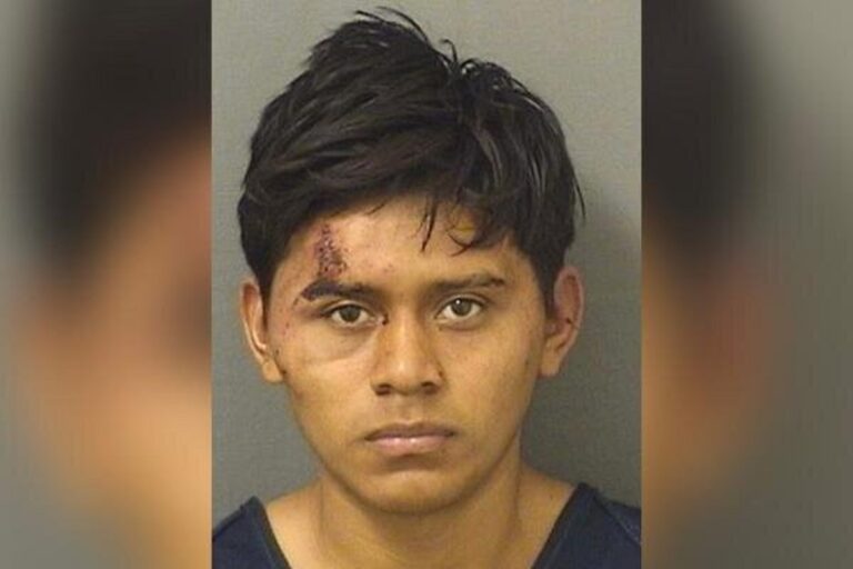 Inmigrante indocumentado hispano es acusado de agredir sexualmente a niña de 11 años en Florida