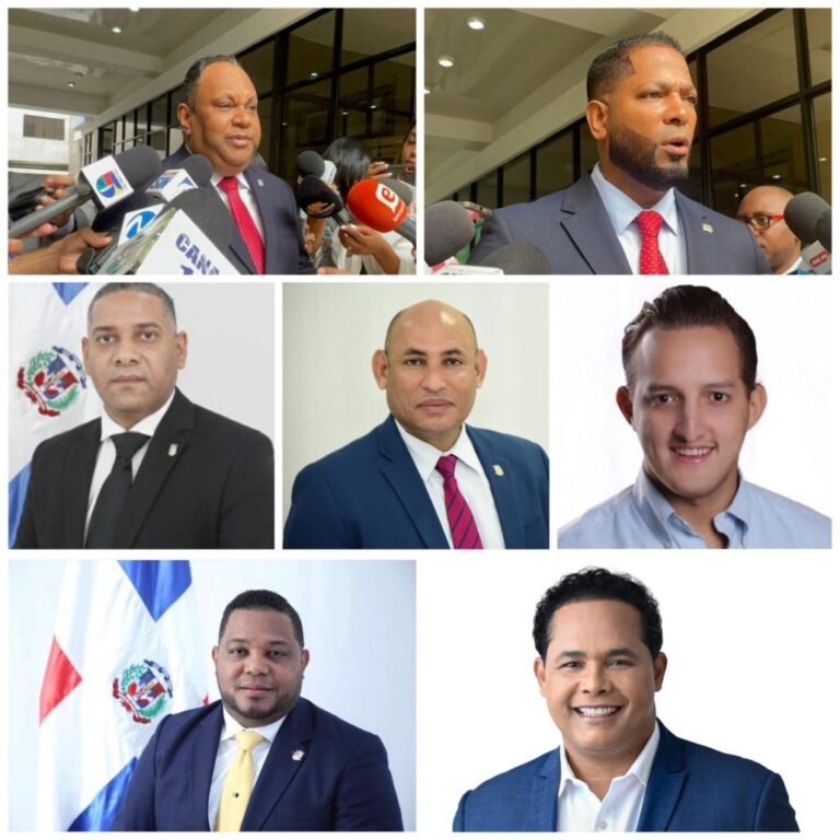 Diputados del Partido de la Liberación Dominicana instan a votar #FVDigital