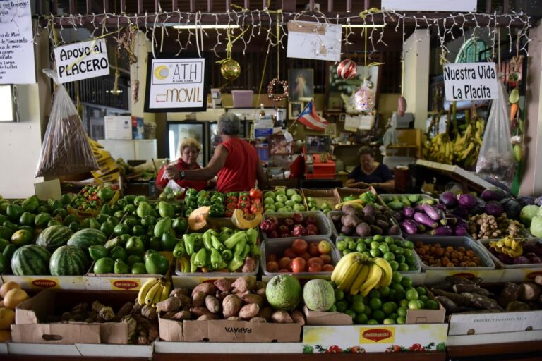 CBPP sobre SNAP en Puerto Rico: transición es clave en el camino para combatir la pobreza e inseguridad alimentaria