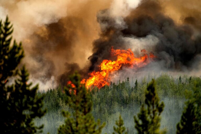 Humo de incendios forestales de Canadá activan alertas sobre la calidad del aire en cuatro estados de EE.UU.