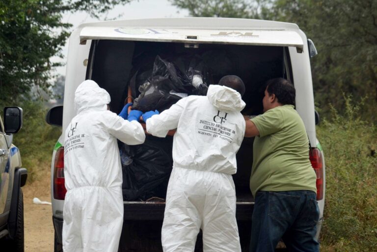 Autoridades hallan cuerpos de 11 personas asesinadas en el sur de México #FVDigital