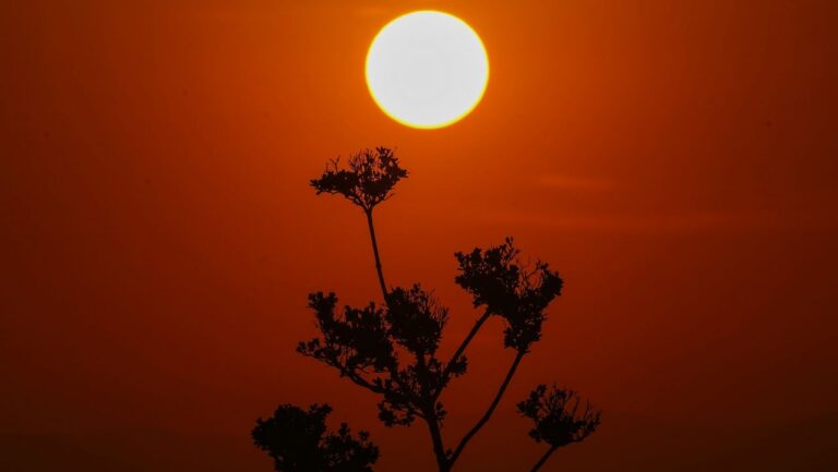 Un ‘domo de calor’ provoca temperaturas sofocantes en México