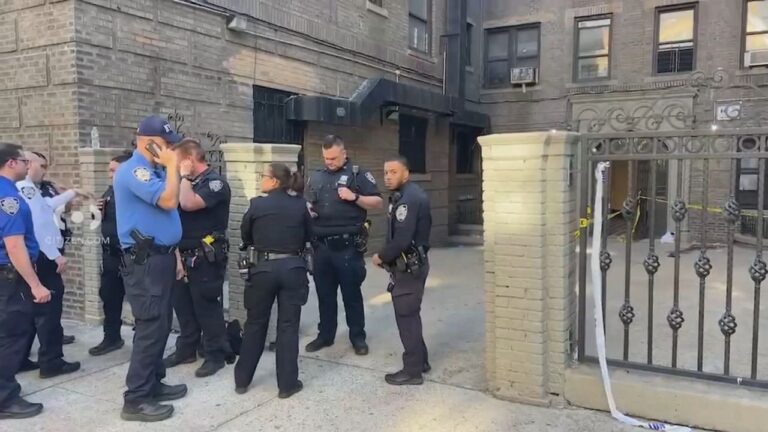 Pelea entre jóvenes en El Bronx; joven de 17 años apuñalada