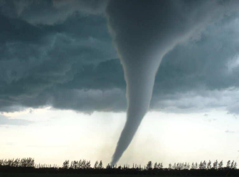 EE.UU. registró al menos 16 tornados en una noche – Remolacha   #FVDigital