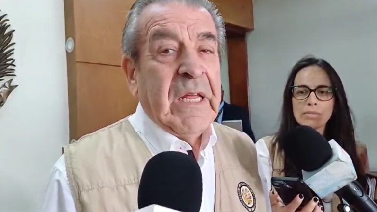 Jefe de misión electoral de la OEA dijo que espera un torneo limpio y transparente – noticias telemicro