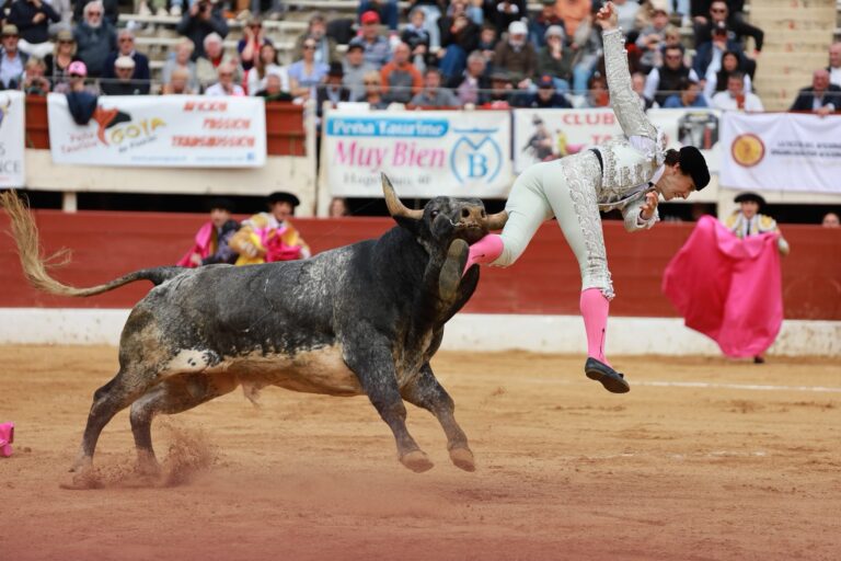 Matador Román Collado hospitalizado de emergencia tras cornada en Francia