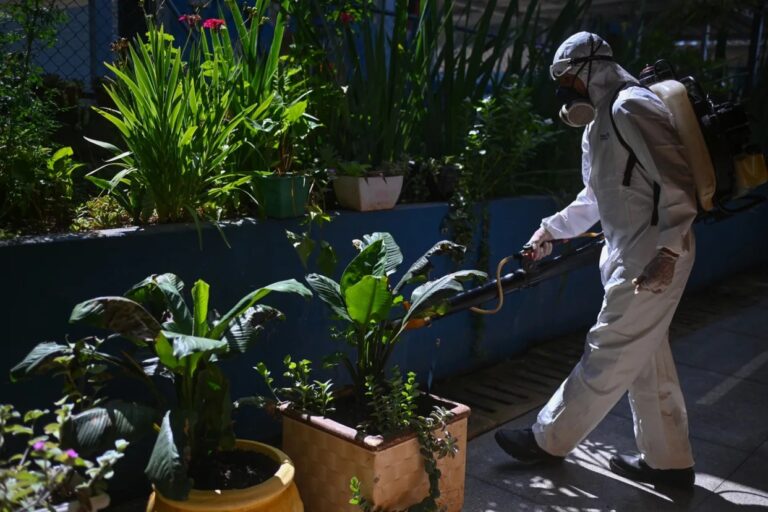 Brasil supera las 3.000 muertes por dengue este año