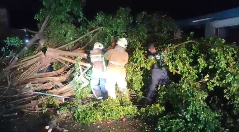 Lluvias provocan daños en San Francisco de Macorís – noticias telemicro