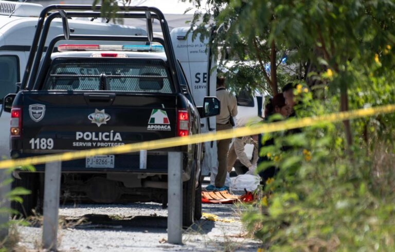 Hallan cuerpos de 11 personas asesinadas en el sur de México