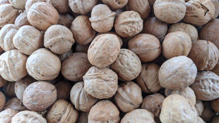 Nueces son retiradas tras brote de E. Coli; se vendieron en al menos 19 estados #FVDigital