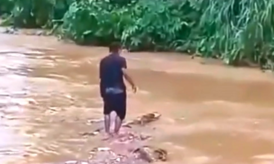 Hombre arriesga su vida cruzando sobre escombros por debajo de puente – noticias telemicro