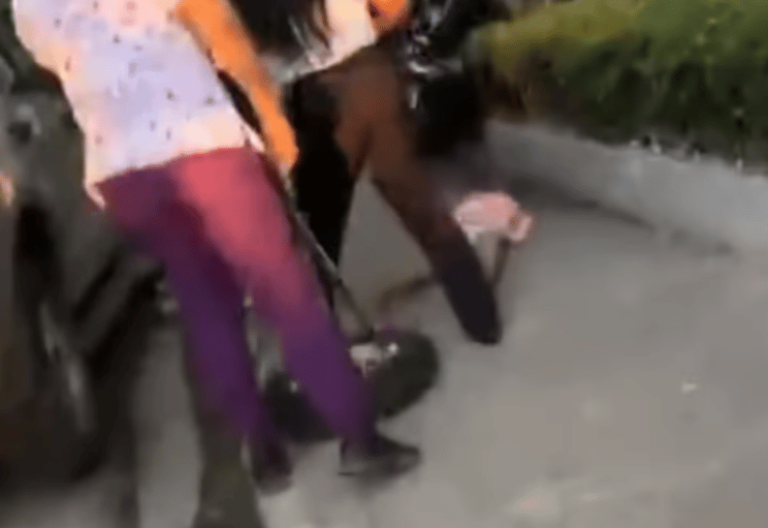 Una niña de cuatro años cae de cuarto piso de una clínica en San Cristóbal – noticias telemicro