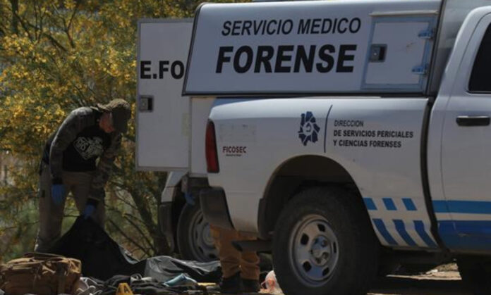 Peritos forenses trabajan en la zona donde fueron encontrados 5 cuerpos en la frontera de Ciudad Juárez (México). Fotografía de archivo. EFE/Luis Torres