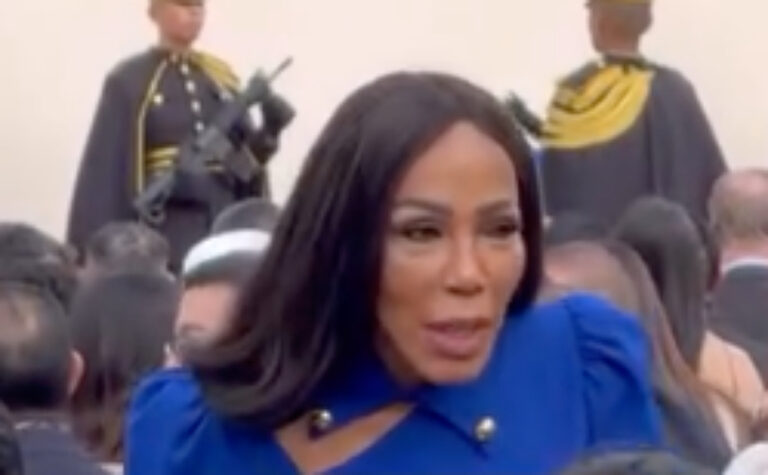 Magali Febles en la investidura de Nayib Bukele (video) – Remolacha   #FVDigital