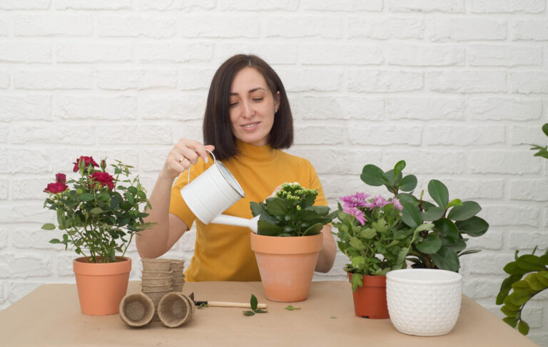 10 plantas perfectas para personas que no tienen buenas manos para la jardinería