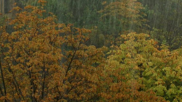 RD le da la bienvenida al otoño con lluvias en el suroeste y noreste del país – #FVDigital