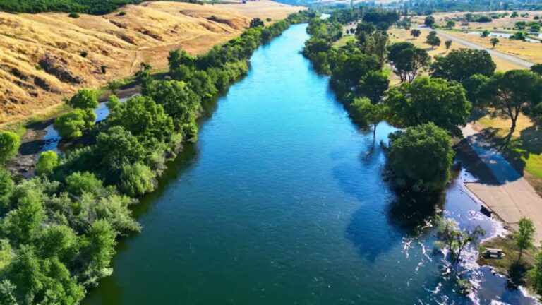 Día Mundial de los Ríos – #FVDigital