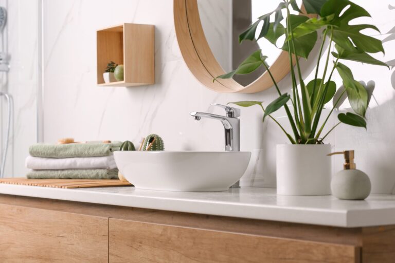 6 plantas de baño que crecen grandes, hermosas y absorben toda la humedad