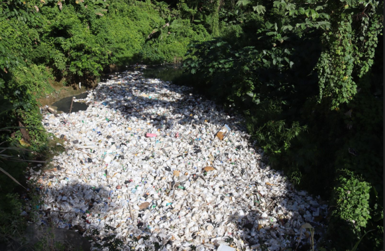 Municipio Los Alcarrizos y SDO, los que más contaminan el río Haina