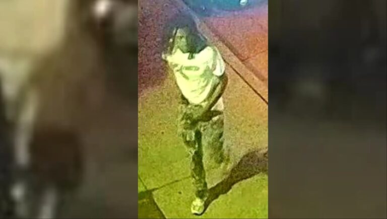 El sospechoso disparó contra una multitud