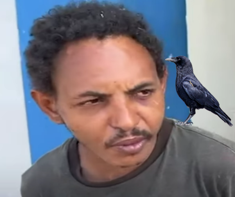 Arrestan a alias ‘El Cuervo’ por robo de gallinas y conejos – Remolacha   #FVDigital