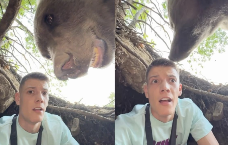 Un influencer se mete en la cueva de un oso y cuando va a salir es sorprendido por el animal