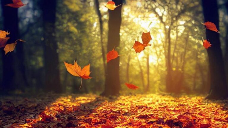 Hoy inicia el otoño en el hemisferio norte; pronostican aguaceros en varias provincias