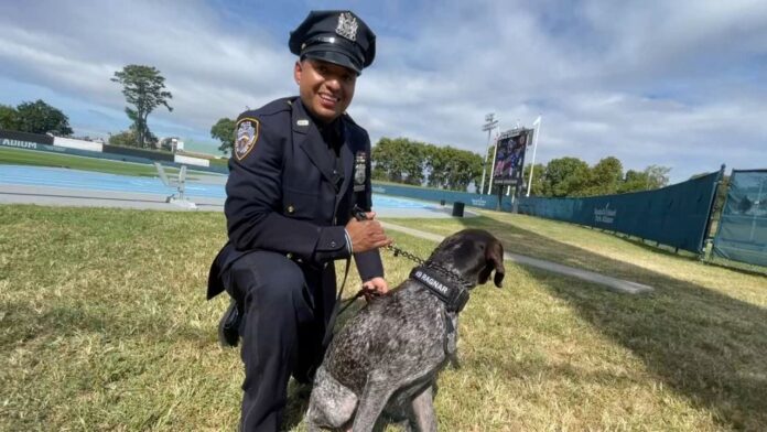 Davila_es_Mn_NYPD_Counterterrorism_K9_Graduation_CG_131028156_4468_1.jpeg