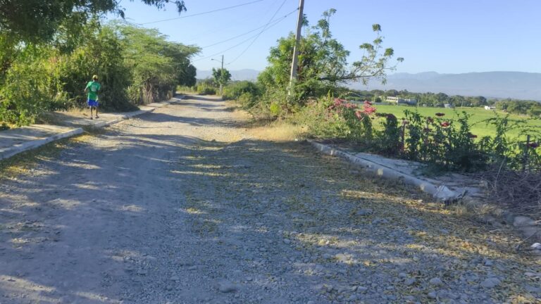 Reclaman construcción completa camino vecinal en Mogollón, SJM