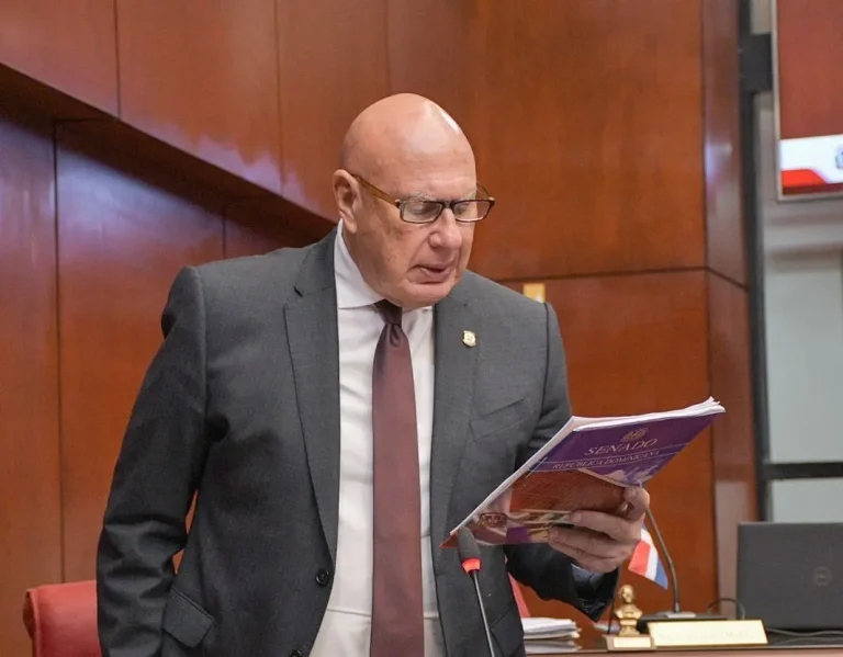 Claves para entender el proyecto de reforma constitucional aprobado por el Senado