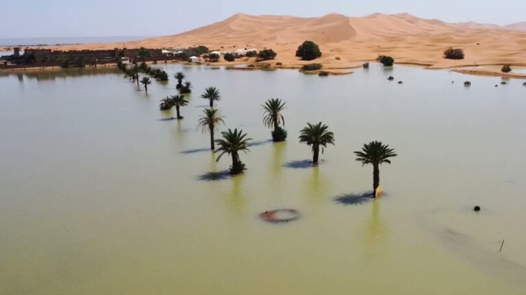 ¡Sorprendente! Desierto del Sahara como nunca se había visto – #FVDigital