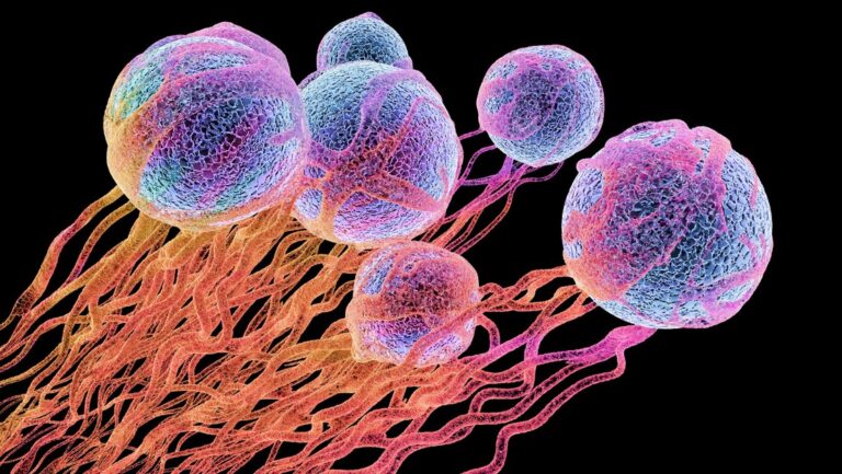 Desarrollan un tratamiento eficaz para curar y prevenir el cáncer – #FVDigital