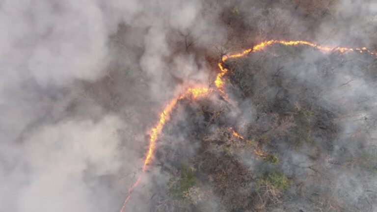 Día Internacional contra el Cambio Climático – #FVDigital
