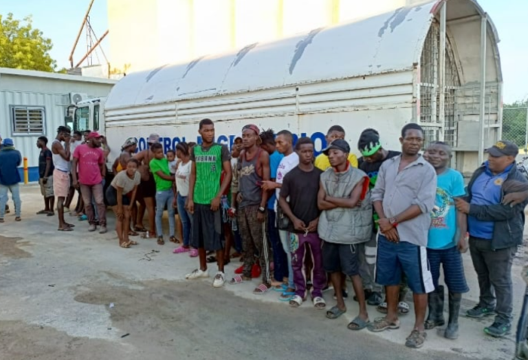Ejército detiene otros 310 haitianos – Remolacha   #FVDigital