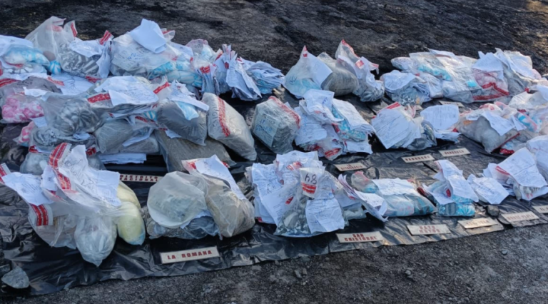 Inacif quema otro lote de drogas   #FVDigital