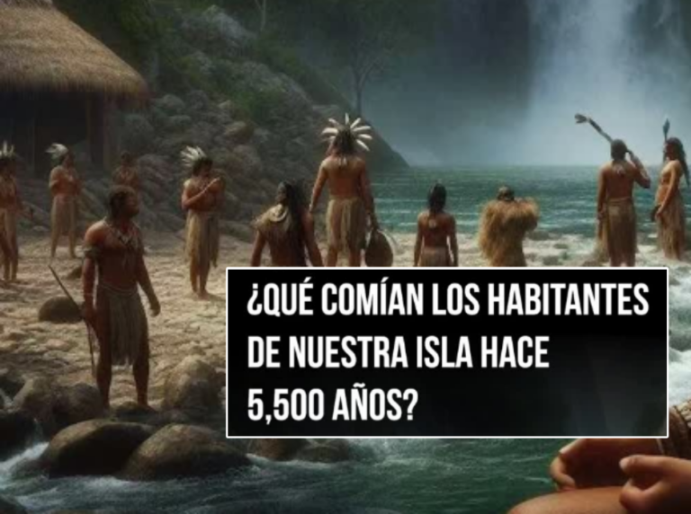 ¿Qué comían los habitantes de nuestra isla hace 5,500 años? – Remolacha   #FVDigital