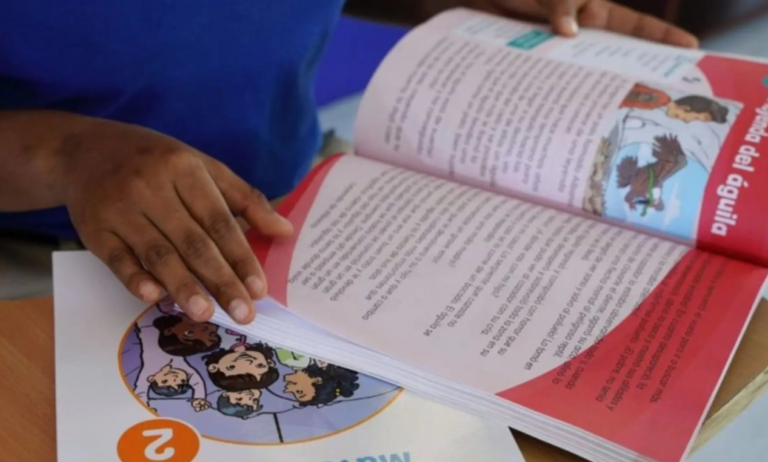 Minerd dice distribuyó más de 12 millones de libros de texto – Remolacha   #FVDigital