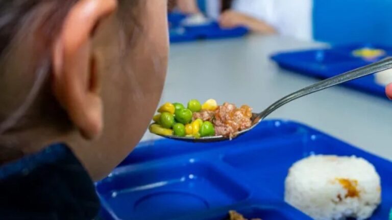 Organizaciones insisten en la necesidad de que se concluya con la aprobación Ley de Alimentación Escolar