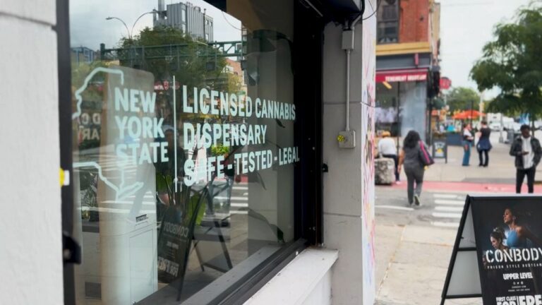 Ventas cannabis licencia generan millones dólares impuestos