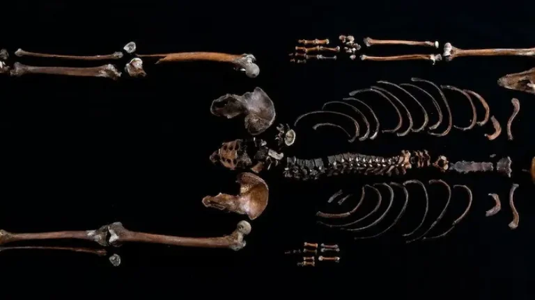 El ADN resuelve el misterio del ‘hombre del pozo’, un cadáver de más de 800 años
