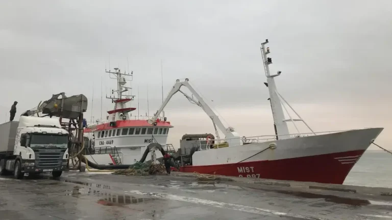 La justicia europea tumba los acuerdos de pesca entre la UE y Marruecos por vulnerar los derechos de los saharauis